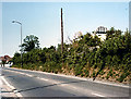 Dorchester Road,  June 1984