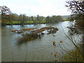 River Towy