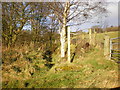 Footpath off the N side of Saltonstall Lane