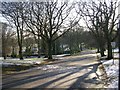 Lister Park - viewed from Emm Lane