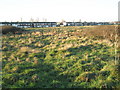 Looking across Milton Common towards Moorings Way