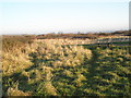 Seat on Milton Common