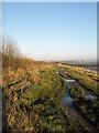 The Solent Way between Locks Sailing Club and Milton Common