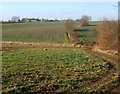 Small valley near Naughton