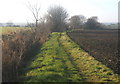 Footpath WSW from Naughton