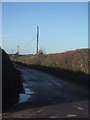 Hawk watches over quiet lane