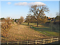 Open space by  Homberg Way , Bridgwater