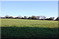 Playing  Fields, Harrow Lane