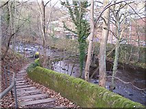 SK3192 : Footpath Down to Rocher Bridge, near Middlewood Tavern, Oughtibridge by Terry Robinson