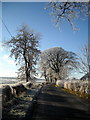 Shields Road on a Frosty Morning