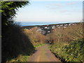 Course of former railway at Portreath