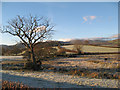 Frosty fields