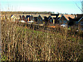 Houses on the edge of the Brook Farm estate