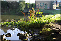 TL5982 : River Lark, Prickwillow by Stephen McKay