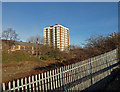 Railway Fence, Newcastle-Upon-Tyne