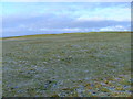 Open grazing land near Barr of Spottes