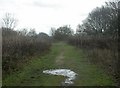 Dead Dogs Scrub, Turbary Common