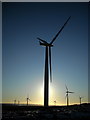 NS5944 : Whitelee Wind Farm by Iain Thompson