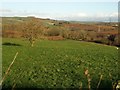 Field near Abham