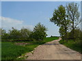 Track to Kneeton Road above the Trent