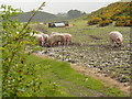 Pig Farm on the Speyside way