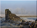 NY4729 : Ruin in fields, Newbiggin by Andrew Smith