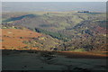 Wooded valley above Cusop