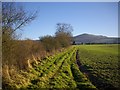 Path to Colwall Green