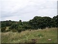 View towards village from Toby