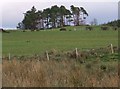 Field off Finnockbog Road