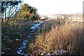 Old railway at North Dronley