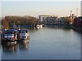 River Thames, Reading