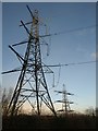 Pylons, Abham electricity transformer station