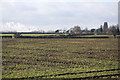 Farmland near Great Barton