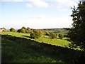 Mayfield Valley from Bole Hill