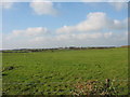 View westwards from Grug Farm towards the Bryngwran-Llanfaelog road