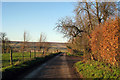 Lane near Little Olantigh Farm