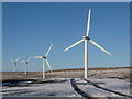 SD8317 : Wind Turbines on Scout Moor by Paul Anderson