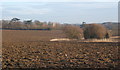 Ploughed field beside lane