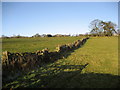 Pastoral Scene near Kettlesing