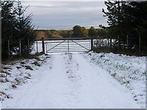 NH7578 : Winter Scene near East Lamington by Sarah McGuire