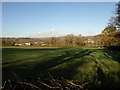 Field near Challabrook Farm