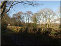 Templer Way approaching Chapple Road