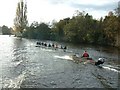 SJ4166 : Rowers on the Dee by Gerald England