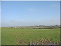 View across farmland in the direction of the village of Pencarnisiog