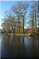 Trees and pond at Hanley Swan