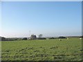 View across sheep pastures towards Tyddyn Harri farmhouse