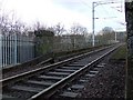 Daff Glen railway bridge