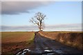 Bridleway to Wallingwells