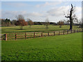 Horse paddock at Place Farm